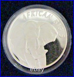 2003 African Big Five Silver Set