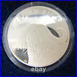 2003 African Big Five Silver Set