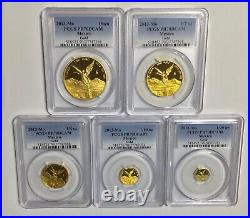 2013 Mexico Gold Libertad Proof Set PCGS PR70 Perfect Mintage 250 Sets