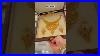 22kt Gold Necklace Set Design Gold Necklace Jewellery Wedding Fashion 22k Trending Partywear