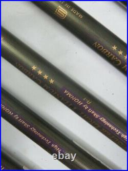 4STAR Gold Mole Perfect 10pc HONMA LB-606 R-FLEX IRONS SET JP Limited NWO
