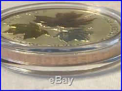 Canada 2016 5 Coin 24-Karat Gold Plated Pure Silver Maple Leaf Fractional Set