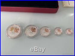 Canada 2016 5 Coin 24-karat Gold Plated Pure Silver Maple Leaf Fractional Set