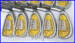 HONMA TWIN MARKS 2000-a R-FLEX PERFECT 10PC K18 GOLD 2-STAR IRONS SET
