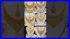 Latest Gold Bridal Necklace Set Goldnecklace Shortvideo Shorts Trending