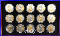 Platinum and Gold Highlighted American Silver Eagle Dollars 15 Coin Set