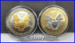 Platinum and Gold Highlighted American Silver Eagle Dollars 15 Coin Set