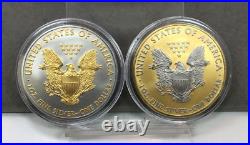 Platinum and Gold Highlighted American Silver Eagle Dollars 15 Coin Set