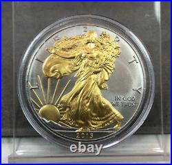 Platinum and Gold Highlighted American Silver Eagle Dollars 15 Coin Set