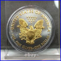 Platinum and Gold Highlighted American Silver Eagle Dollars 15 Coin Set