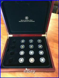Pure Gold World's Smallest Gold 12 Coins Set With Magnifying Glass