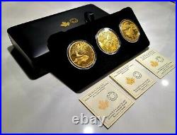 RARE 2 oz. Pure Silver Gold-Plated 3-Coin Set Predator and Prey Gold Reflection