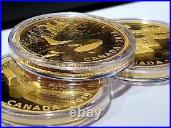 RARE 2 oz. Pure Silver Gold-Plated 3-Coin Set Predator and Prey Gold Reflection