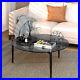 Sophisticated Ash Glass Coffee Table Modern Tables with Solid Steel Legs Gray Gold