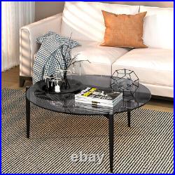 Sophisticated Ash Glass Coffee Table Modern Tables with Solid Steel Legs Gray Gold