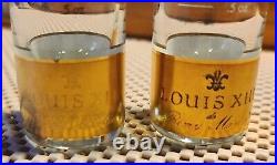 (set Of 2) Remy Martin Louis XIII Perfect Pour 2oz Jigger New